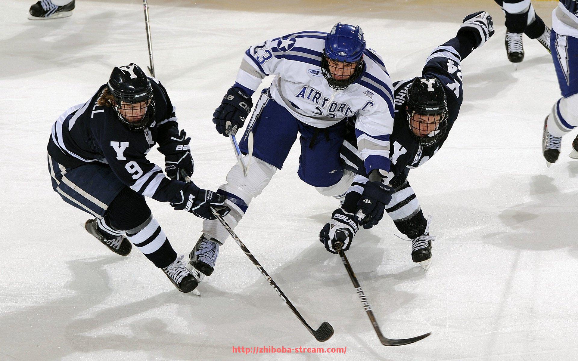 直播吧-常用家庭健身器材推荐及实用价值分析